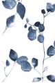 Picture of Blue Water Colour Leaves II _GroupedProduct_Rectangle_Portrait_Unframed_Print_Only_