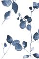 Picture of Blue Water Colour Leaves II _GroupedProduct_Rectangle_Portrait_Unframed_Print_Only_
