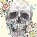 Picture of Rose Skull _GroupedProduct_Square_Unframed_Print_Only_