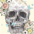 Picture of Rose Skull _GroupedProduct_Square_Unframed_Print_Only_