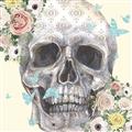 Picture of Rose Skull _GroupedProduct_Square_Unframed_Print_Only_