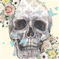 Picture of Rose Skull _GroupedProduct_Square_Unframed_Print_Only_