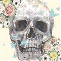 Picture of Rose Skull _GroupedProduct_Square_Unframed_Print_Only_