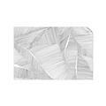 Picture of Leafy Lines III _GroupedProduct_Rectangle_Landscape_Unframed_Print_Only_