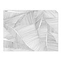 Picture of Leafy Lines III _GroupedProduct_Rectangle_Landscape_Unframed_Print_Only_