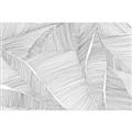 Picture of Leafy Lines III _GroupedProduct_Rectangle_Landscape_Unframed_Print_Only_
