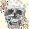 Picture of Rose Skull _GroupedProduct_Square_Unframed_Print_Only_