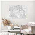 Picture of Leafy Lines III _GroupedProduct_Rectangle_Landscape_Unframed_Print_Only_
