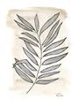 Picture of Antiqued Leaves II _GroupedProduct_Rectangle_Portrait_Unframed_Print_Only_