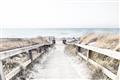 Picture of Path to the Beach II _GroupedProduct_Rectangle_Landscape_Photography _GroupedProduct_Rectangle_Landscape_Unframed_Print_Only_