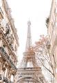 Picture of Paris in the Fall _GroupedProduct_Rectangle_Portrait_Photography _GroupedProduct_Rectangle_Portrait_Unframed_Print_Only_
