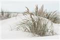 Picture of Sand Dunes _GroupedProduct_Rectangle_Landscape_Photography _GroupedProduct_Rectangle_Landscape_Unframed_Print_Only_