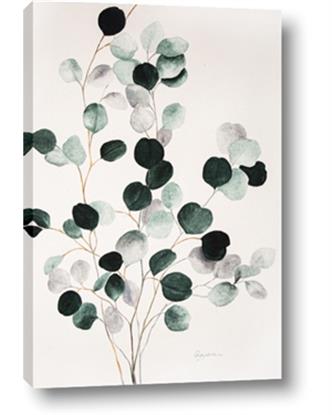Picture of Watercolor Leaves II