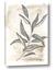 Picture of Antiqued Leaves I