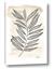 Picture of Antiqued Leaves II