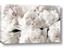 Picture of Fluffy Florals