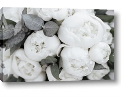 Picture of White Blooms