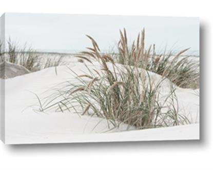 Picture of Sand Dunes
