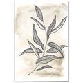 Picture of Antiqued Leaves I _GroupedProduct_Rectangle_Portrait_Canvas_