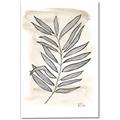 Picture of Antiqued Leaves II _GroupedProduct_Rectangle_Portrait_Canvas_
