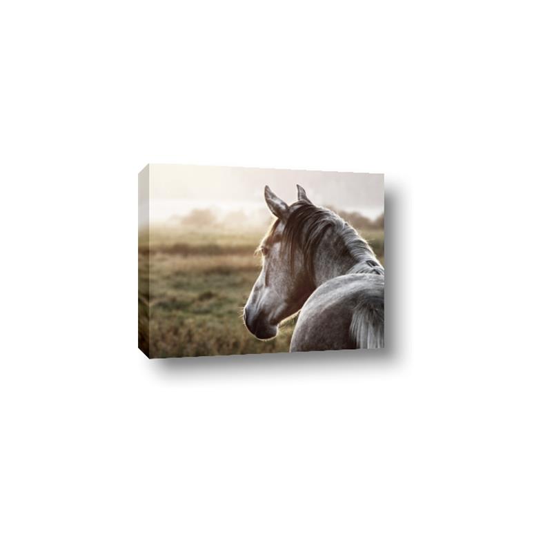 Picture of Horse & the Horizon _GroupedProduct_Rectangle_Landscape_Photography _GroupedProduct_Rectangle_Landscape_Canvas_