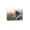 Picture of Horse & the Horizon _GroupedProduct_Rectangle_Landscape_Photography _GroupedProduct_Rectangle_Landscape_Canvas_