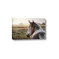 Picture of Horse & the Horizon _GroupedProduct_Rectangle_Landscape_Photography _GroupedProduct_Rectangle_Landscape_Canvas_