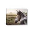 Picture of Horse & the Horizon _GroupedProduct_Rectangle_Landscape_Photography _GroupedProduct_Rectangle_Landscape_Canvas_
