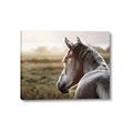 Picture of Horse & the Horizon _GroupedProduct_Rectangle_Landscape_Photography _GroupedProduct_Rectangle_Landscape_Canvas_