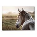 Picture of Horse & the Horizon _GroupedProduct_Rectangle_Landscape_Photography _GroupedProduct_Rectangle_Landscape_Canvas_