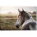 Picture of Horse & the Horizon _GroupedProduct_Rectangle_Landscape_Photography _GroupedProduct_Rectangle_Landscape_Canvas_