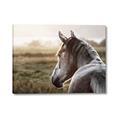 Picture of Horse & the Horizon _GroupedProduct_Rectangle_Landscape_Photography _GroupedProduct_Rectangle_Landscape_Canvas_