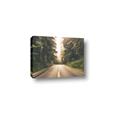 Picture of Foggy Straight Redwood Highway _GroupedProduct_Rectangle_Landscape_Photography _GroupedProduct_Rectangle_Landscape_Canvas_