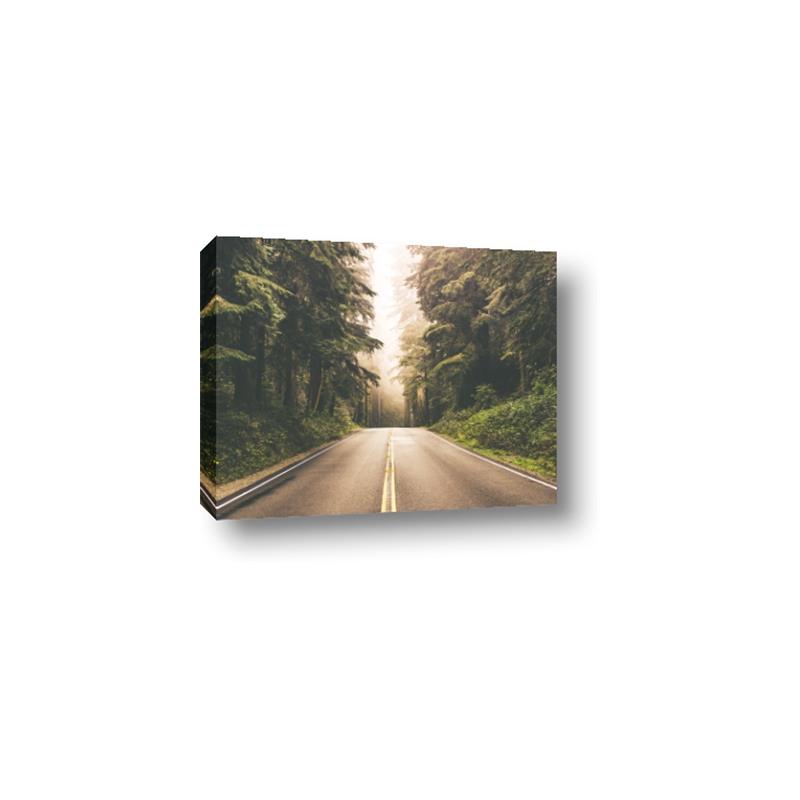Picture of Foggy Straight Redwood Highway _GroupedProduct_Rectangle_Landscape_Photography _GroupedProduct_Rectangle_Landscape_Canvas_