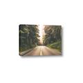 Picture of Foggy Straight Redwood Highway _GroupedProduct_Rectangle_Landscape_Photography _GroupedProduct_Rectangle_Landscape_Canvas_
