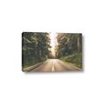 Picture of Foggy Straight Redwood Highway _GroupedProduct_Rectangle_Landscape_Photography _GroupedProduct_Rectangle_Landscape_Canvas_