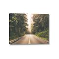 Picture of Foggy Straight Redwood Highway _GroupedProduct_Rectangle_Landscape_Photography _GroupedProduct_Rectangle_Landscape_Canvas_