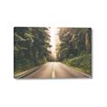 Picture of Foggy Straight Redwood Highway _GroupedProduct_Rectangle_Landscape_Photography _GroupedProduct_Rectangle_Landscape_Canvas_