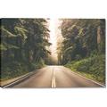 Picture of Foggy Straight Redwood Highway _GroupedProduct_Rectangle_Landscape_Photography _GroupedProduct_Rectangle_Landscape_Canvas_