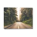Picture of Foggy Straight Redwood Highway _GroupedProduct_Rectangle_Landscape_Photography _GroupedProduct_Rectangle_Landscape_Canvas_