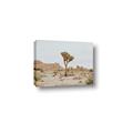Picture of Dessert Tree _GroupedProduct_Rectangle_Landscape_Photography _GroupedProduct_Rectangle_Landscape_Canvas_