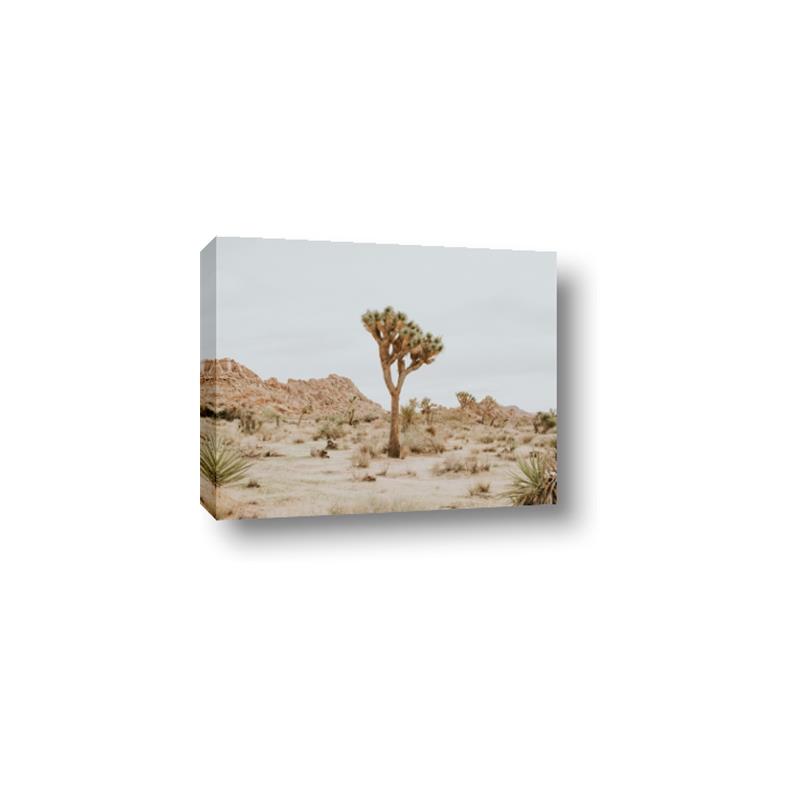 Picture of Dessert Tree _GroupedProduct_Rectangle_Landscape_Photography _GroupedProduct_Rectangle_Landscape_Canvas_