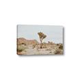 Picture of Dessert Tree _GroupedProduct_Rectangle_Landscape_Photography _GroupedProduct_Rectangle_Landscape_Canvas_