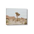 Picture of Dessert Tree _GroupedProduct_Rectangle_Landscape_Photography _GroupedProduct_Rectangle_Landscape_Canvas_