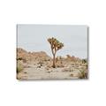 Picture of Dessert Tree _GroupedProduct_Rectangle_Landscape_Photography _GroupedProduct_Rectangle_Landscape_Canvas_
