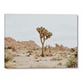 Picture of Dessert Tree _GroupedProduct_Rectangle_Landscape_Photography _GroupedProduct_Rectangle_Landscape_Canvas_