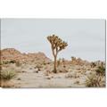 Picture of Dessert Tree _GroupedProduct_Rectangle_Landscape_Photography _GroupedProduct_Rectangle_Landscape_Canvas_