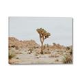 Picture of Dessert Tree _GroupedProduct_Rectangle_Landscape_Photography _GroupedProduct_Rectangle_Landscape_Canvas_