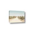 Picture of Cactus Row _GroupedProduct_Rectangle_Landscape_Photography _GroupedProduct_Rectangle_Landscape_Canvas_