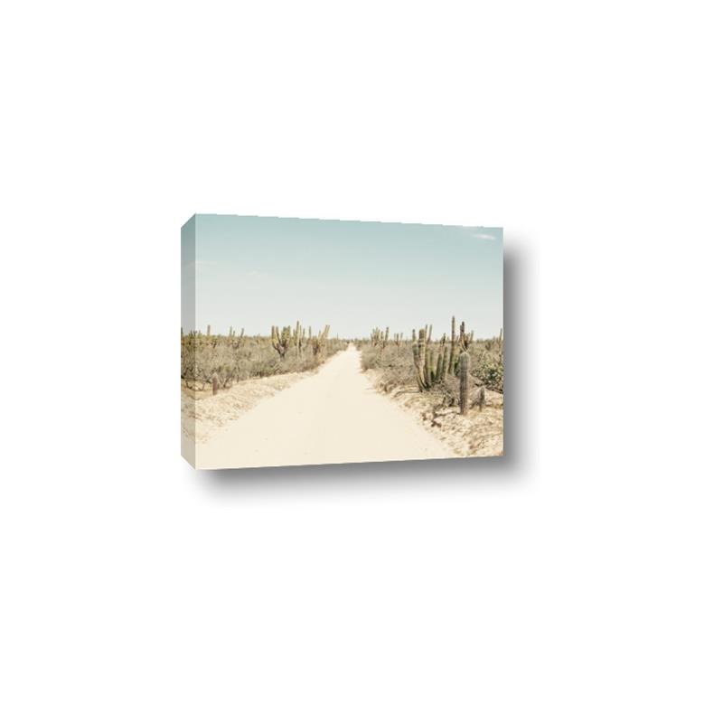 Picture of Cactus Row _GroupedProduct_Rectangle_Landscape_Photography _GroupedProduct_Rectangle_Landscape_Canvas_